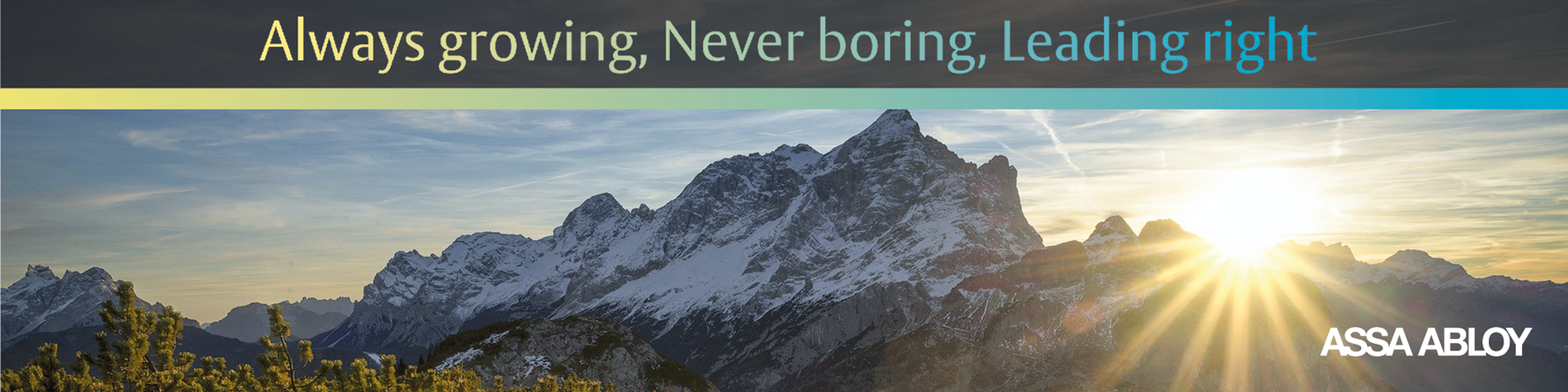 (圖)Linkedin banner 1