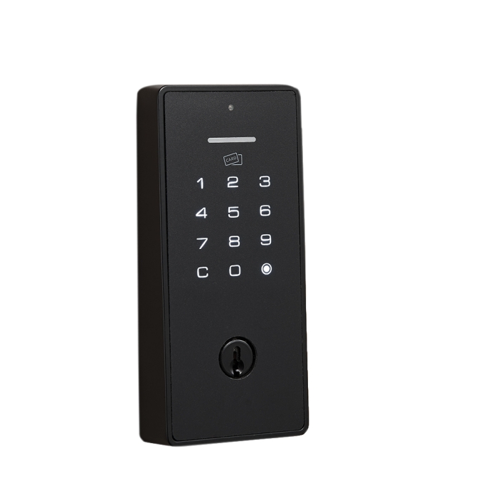 PI3S Touchpad Deadbolt Lock (Card)